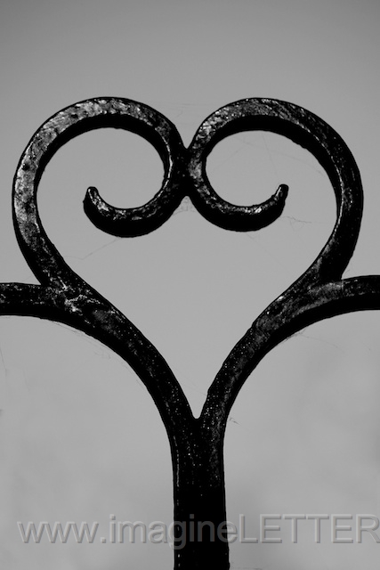 Wall_Art_Alphabet_Photography_Art_ 812.jpg